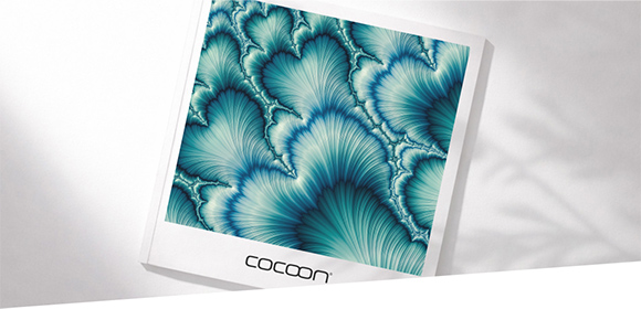 Cocoon