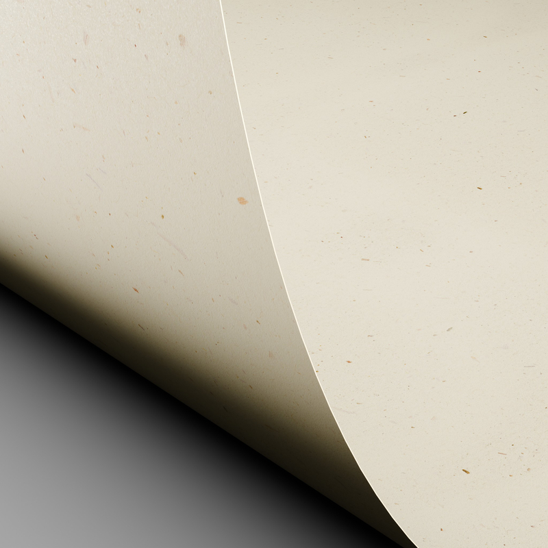 LOSQXL_MI2_257067_Curious_Particles_Natural_Lily_Flower_2D_Curve_00_09122024.jpg