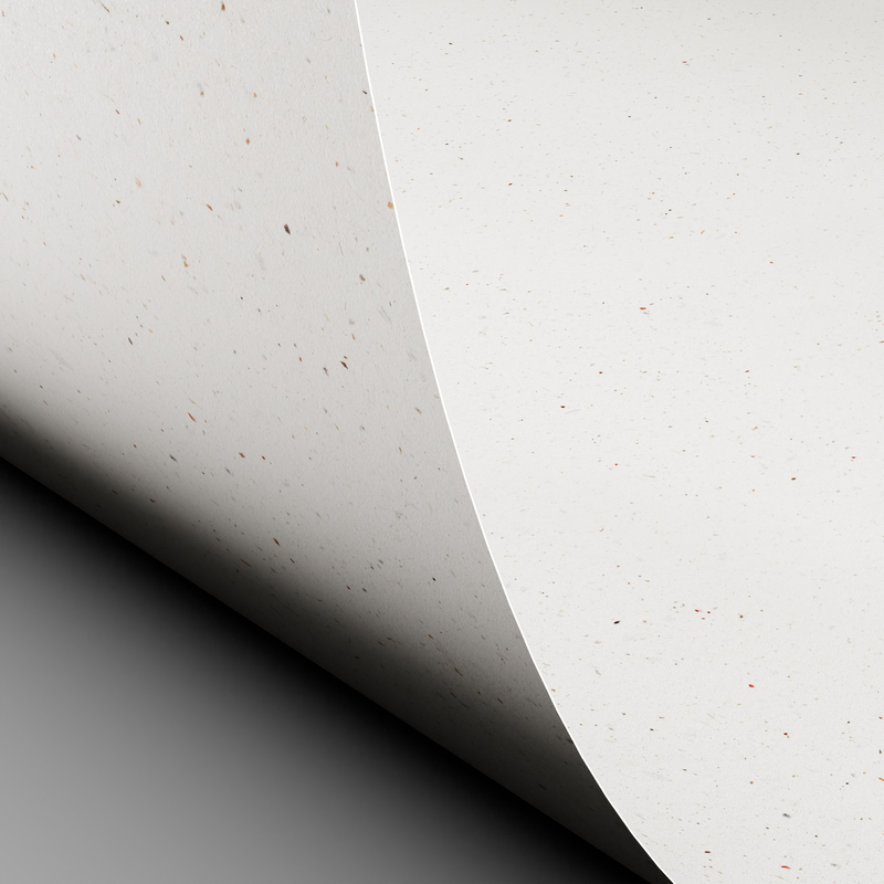 LOSQXL_MI2_257067_Curious_Particles_White_Java_2D_Curve_00_09122024.jpg
