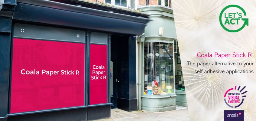 Coala Paper Stick R