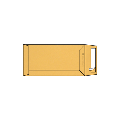 zakomslag Curious Translucents Color strip Goud 100g 110x220mm doos FSC®