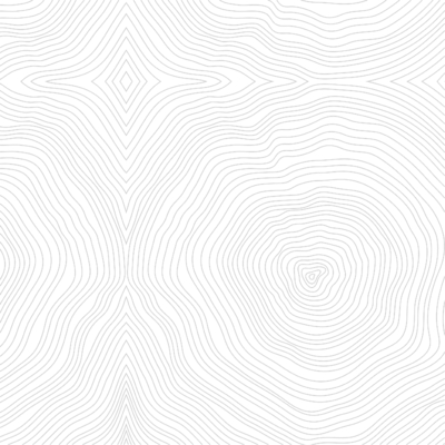 Coala Windows Decor Pattern, Wood, Tree trunk patterns, PET Base, PS, ,acrylic adhesive, 40 µ 1525 mm