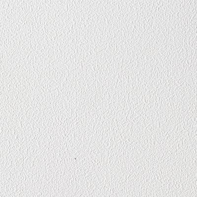 Coala Walk & Wall – Zelfklevend Vinyl