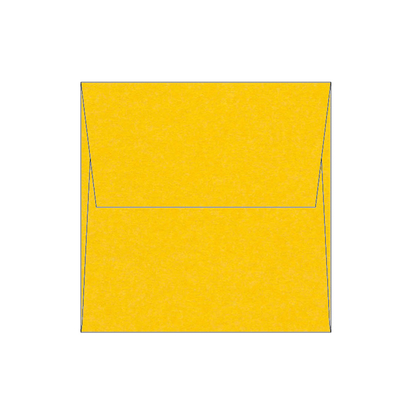 Olin Colours enveloppen