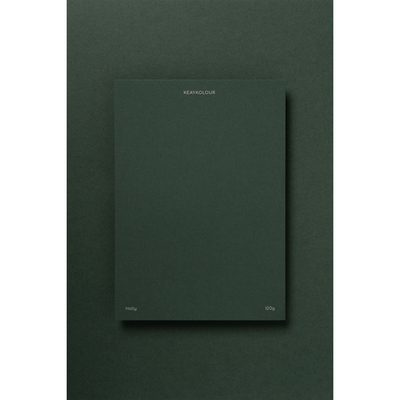 papier Keaykolour Sparregroen 120g 700x1000mm ingeriemd FSC®