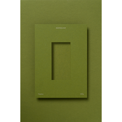 papier Keaykolour Meadow 300g 700x1000mm ingeriemd FSC®
