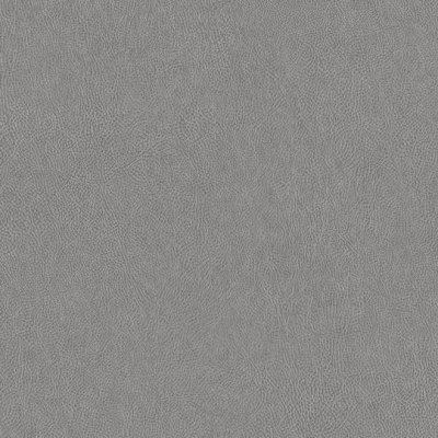 Coala Interior film, LEATHER NE41 - Light Grey Leather 1220 mm