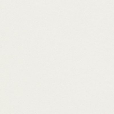papier Conqueror CX22 wit 250g 720x1020mm ingeriemd FSC®