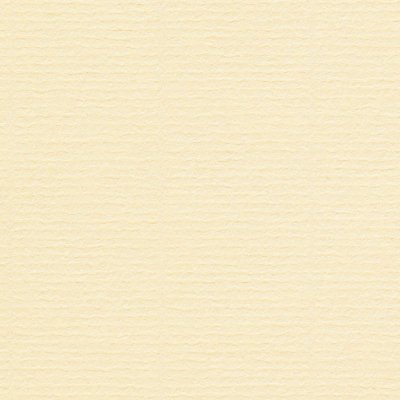 papier Conqueror gevergeerd roomkleur 100g met watermerk 210x297mm doos FSC®