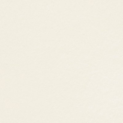 papier Conqueror Wove ivoorwit 100g met watermerk 450x640mm ingeriemd FSC®