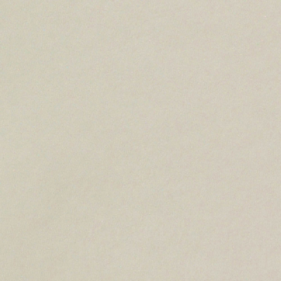 papier Curious Translucents Color Zilver 100g 700x1000mm ingeriemd FSC®