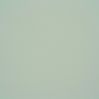 papier Curious Skin grey 270g 700x1000 ingeriemd FSC®
