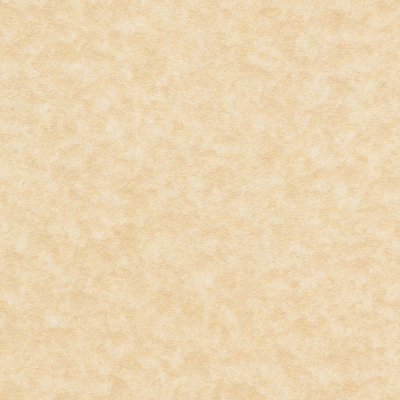 papier Keaykolour Original Recycled Pulp (Hout) Parchment Aged 170g 700x1000mm ingeriemd FSC®