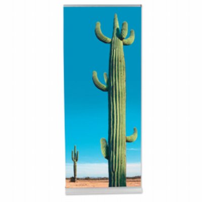 Coala RollUp TWIN – Dubbelzijdig Roll-Up Display
