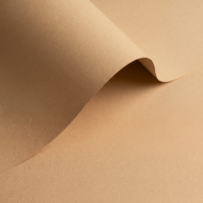 gekleurd papier Olin Colours Fawn 120g 450x640mm ingeriemd FSC®