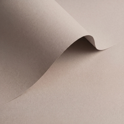 papier Olin Origins Pebble 320g 700x1000mm ingeriemd FSC®