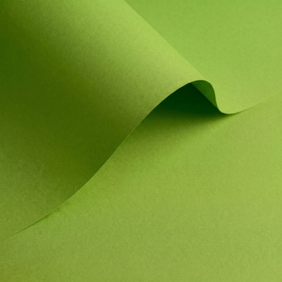 gekleurd papier Olin Colours Pistachio 90g 450x640mm ingeriemd FSC®