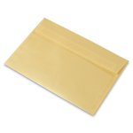 envelop Curious Translucents Color strip Goud 100g 162x229mm doos FSC®