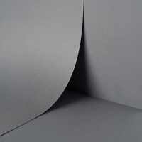 papier Keaykolour Albatross 300g 700x1000mm ingeriemd FSC®