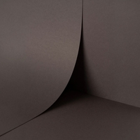papier Keaykolour Blackberry 300g 700x1000mm ingeriemd FSC®
