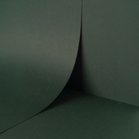 papier Keaykolour Digital Sparregroen 300g 483x330mm ingeriemd FSC®
