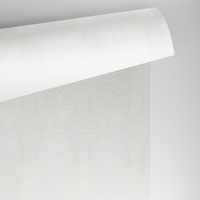 papier Conqueror gevergeerd wit 100g met watermerk 450x640mm ingeriemd FSC®