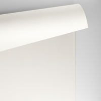 papier Conqueror Wove gebroken wit 160g 720x1020mm ingeriemd FSC®