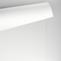 papier Conqueror Wove Digital hagelwit 300g 483x330mm ingeriemd FSC®
