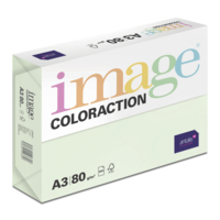 gekleurd papier Image Coloraction jungle/lichtgroen 80g 420x297mm ingeriemd FSC®