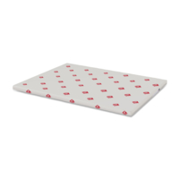 grafisch karton Upside Premium 2 Faces wit 300g 450x640mm ingeriemd FSC®