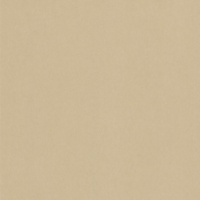 Coala Interior film, LEATHER NE42 - Caramel Leather 1220 mm