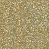 Coala Interior film, (G),GLITTER R19 - CHAMPAGNE  1220 mm