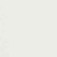 papier Conqueror Iridescent schemer zilver 350g 700x1000mm ingeriemd FSC®