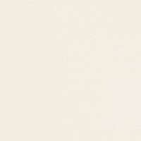 papier Conqueror Wove ivoorwit 120g 450x640mm ingeriemd FSC®