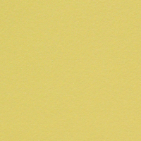 papier Curious Metallics Lime 300g 700x1000mm ingeriemd FSC®