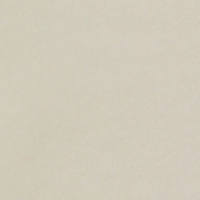 papier Curious Translucents Color Zilver 100g 700x1000mm ingeriemd FSC®