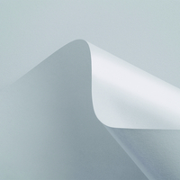 papier Curious Matter Goya White 270g 700x1000mm ingeriemd FSC®