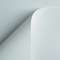 papier Curious Skin extra wit 135g 700x1000mm ingeriemd FSC®