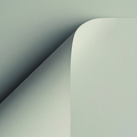 papier Curious Skin grey 270g 700x1000 ingeriemd FSC®