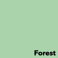 offset papier Image Coloraction forest/middelgroen 160g 450x640mm ingeriemd FSC®