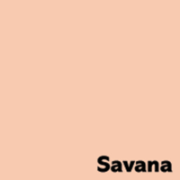 offset papier Image Coloraction savana/zalm 80g 450x640mm ingeriemd FSC®