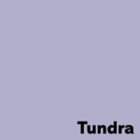 offset papier Image Coloraction tundra/lila 120g 450x640mm ingeriemd FSC®