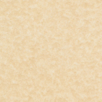 papier Keaykolour Original Recycled Pulp (Hout) Parchment Aged 170g 700x1000mm ingeriemd FSC®