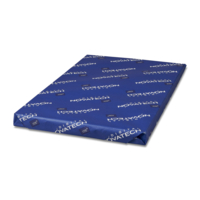 gestreken papier Novatech Digital silk wit 250g 460x320mm ingeriemd FSC®