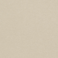 gekleurd papier Pop'Set Virgin Pulp lichtgrijs 80g 450x640mm ingeriemd FSC®