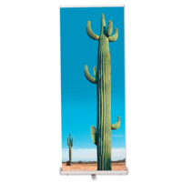 Coala System RollUp Triangle silver 850x2200mm doos