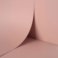 papier Keaykolour Old Rose 120g 700x1000mm ingeriemd FSC®