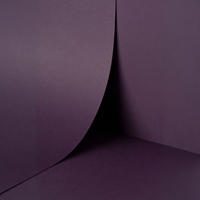 papier Keaykolour Prune 120g 700x1000mm ingeriemd FSC®