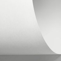 Papier Rives Sensation Tactile, extra wit, 270g, 700x1000mm, pak van 100 vellen,  FSC® Mix Credit