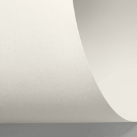 Papier Rives Sensation Tactile, gebroken wit, 140g, 700x1000mm, pak van 250 vellen,  FSC® Mix Credit